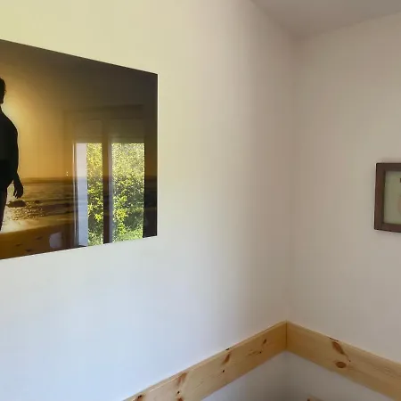 Algarve Surf House *